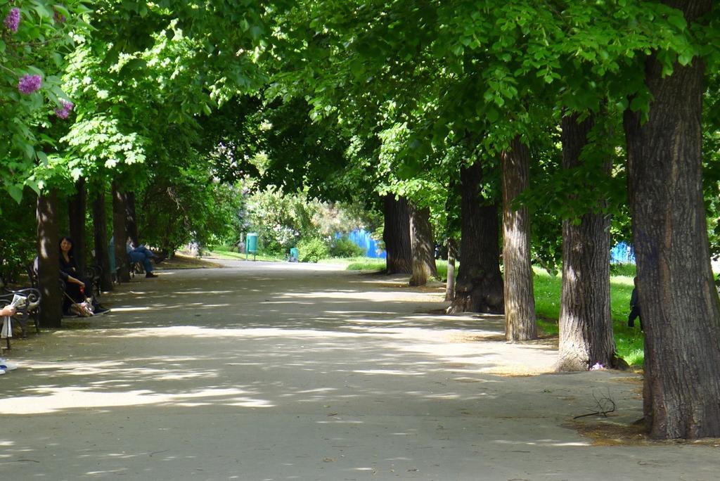 Condo Vinohrady II Prague Ngoại thất bức ảnh